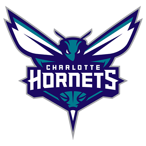 夏洛特黄蜂